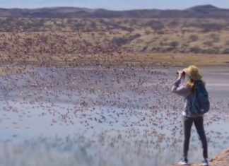 Das Magische Kenia auf der Reisemesse ITB