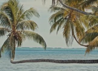 Das Paradies hat einen Namen: Tahiti