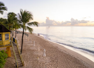 Mit Schildkröten schwimmen und alten Rum trinken