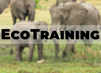 EcoTraining – Ausbildung von Safari-Führern und leidenschaftlichen Naturschützern
