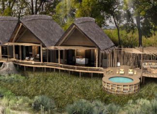 Neues exklusives Camp in einer der artenreichsten Gegenden Botswanas – Natural Selection eröffnet 2024 Camp Tawana im Moremi Wildreservat