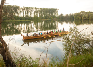 Die schönsten Familienabenteuer in der Südpfalz