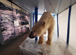 Nordfinnland: Erfrischender Museumsbesuch im Arktikum in Rovaniemi