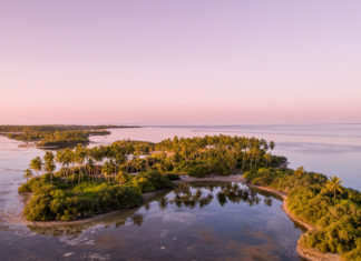 Paradiesisches Inselleben: Familiäre Gästehäuser und einzigartige Naturerlebnisse auf den Malediven