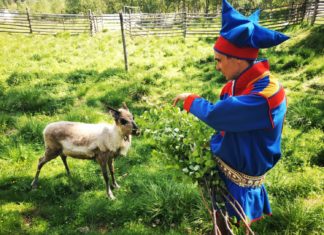 So geht Sommerurlaub im Norden Finnlands / Lappland