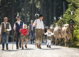 Almabtriebe in Tux-Finkenberg