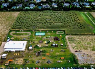 Ein erlebnisreicher Ausflug aufs Land: Äpfel und Kürbisse pflücken, Erntefeste feiern und Familienzeit in der Natur verbringen