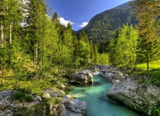 Slowenien als Vorreiter in Sachen Nachhaltigkeit