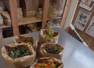 Auf den Spuren der Kräuter im Trentino