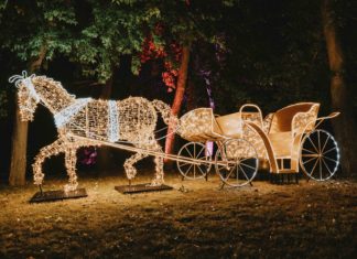 Lumina Park-Eröffnung: Eine leuchtende Zeitreise durch die Geschichte Budapests