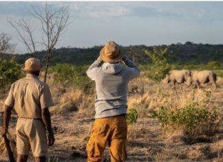 Namibia: Wie die Naturkulisse vom Land der endlosen Weiten immer mehr TouristInnen anzieht