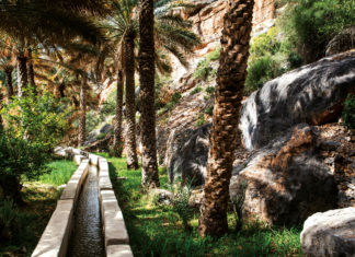 Blütenrausch im Hajar-Gebirge: Die Aflaj erschaffen im Frühling duftende, Pink getupfte Berghänge im Hochgebirge des Sultanats Oman