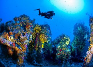 Malta-Tag am 27. Januar auf der boot Düsseldorf