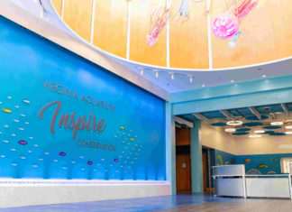 Virginia Aquarium & Marine Science Center:Neues Zuhause für 16 Tierarten