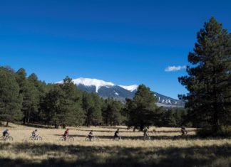 Durch den Grand Canyon, entlang von Wüste oder Weinreben: Arizonas spannendste Radtouren