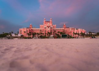 Blütenträume in den USA