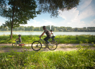 Zwischen Spargel, zu Störchen und über Grenzen: Im Frühsommer mit dem Rad die Südpfalz entdecken