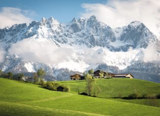 Hier ist was los! – Frühsommer am Wilden Kaiser