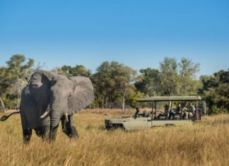 Sechs spektakuläre Themensafaris von Natural Selection