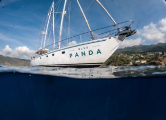 Zum Schutz der Ozeane: Novotel kündigt Partnerschaft mit WWF an