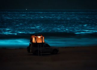 Meeresleuchten in Oman