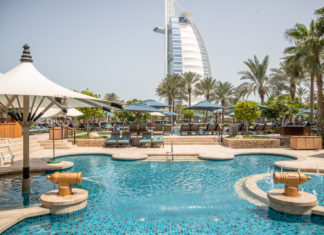 20 JAHRE „DUBAI TURTLE REHABILITATION PROJECT“: NEUES SCHILDKRÖTEN-ERLEBNIS IM JUMEIRAH AL NASEEM