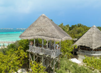 Kulinarisches Erlebnis in luftiger Höhe: JW Marriott Maldives begeistert mit Baumhaus-Restaurant