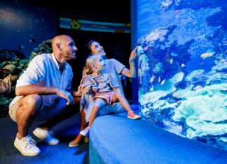 Palma Aquarium: Blick in Europas größte Korallenfarm