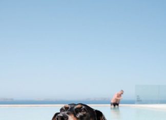 Endlich Zeit, die Pfoten hoch zu legen…