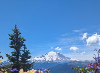 Raus aus Seattle, ab in die Natur