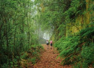 Warum jetzt ein guter Zeitpunkt für eine Reise nach La Palma ist