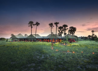 Mit Natural Selection Zeuge der historischen Zebra-Wanderungen werden