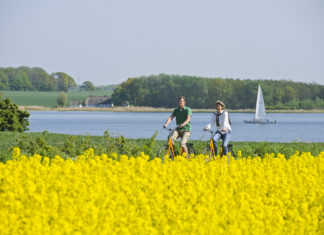Den Spätsommer an der Schlei genießen – Per Rad, E-Moped oder im Kanu – Aktivitäten und Abenteuer nach der Hochsaison