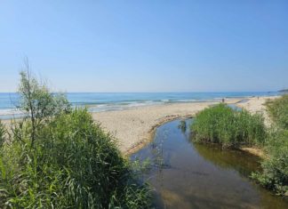 Bulgarien: Seebad Albena liegt inmitten eines Naturschutzgebietes