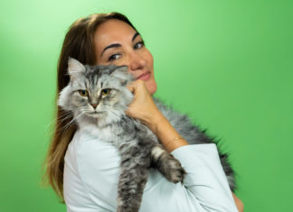 Tierschutz im Natur-Emirat – Ras Al Khaimah ruft zu einer ‘pause for paws’ auf