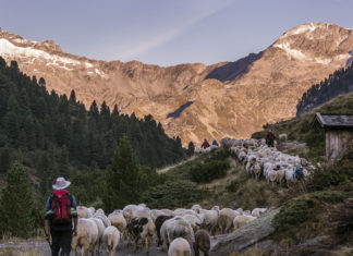 Erleben Sie den Goldenen Herbst in all seiner Pracht!