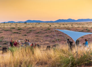Außergewöhnliche Weinerlebnisse in Arizona