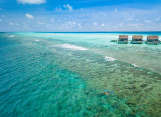 Von Ammenhaien und Tauchrekorden – Kuramathis spektakuläre (Unter-)Wasserwelt