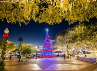 Weihnachtszauber unter Palmen: So feiert der Sunshine State die Holiday Season
