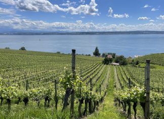 Visit Deutschland stellt die Top 10 Sehenswürdigkeiten in Deutschland für das Jahr 2025 vor