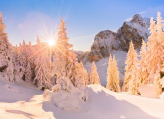 Die vier schönsten Wintermomente in Pfronten im Allgäu – ohne Ski und Snowboard