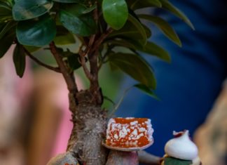 Jumeirah Zabeel Saray stellt Arcadia by Amala vor: Eine kulinarische Reise, die indisches Erbe mit nachhaltiger Innovation verbindet