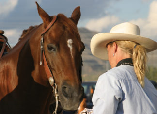 Scottsdale Rodeo: Vier Tage Wilder Westen