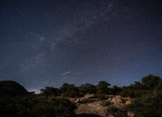 Safari-Feeling mitten in den USA? Willkommen in Arizona!