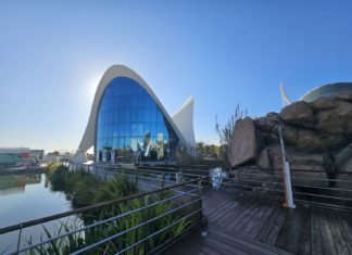 Oceanografic Valencia – Eine beeindruckende Reise in die Unterwasserwelt