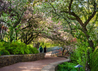 Familienreise durch Illinois: Abenteuer und Erinnerungen fürs Leben