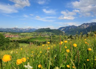 Wo Oma klettert und Mama chillt – in Pfronten findet jeder sein Abenteuer, von Ritterspiel bis Eseltour