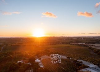 Weinland Südaustralien – wo Genuss auf Abenteuer trifft