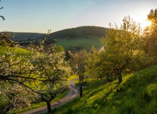 950 Jahre Calw – Eine Stadt schreibt Geschichte