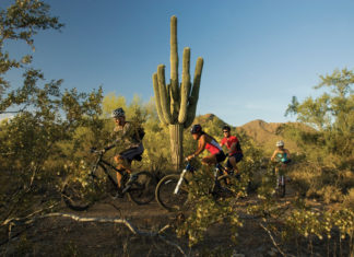 Ohne Auto durch Scottsdale: Nachhaltig, entspannt und voller Erlebnisse